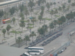 20626 Palmtrees and motorbikes.jpg